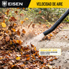 Sopladora Bencinera | Eisen