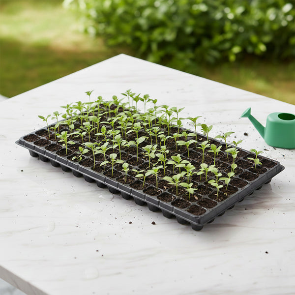 Kit de 10 Almacigueras - 128 Celdas c/u