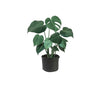 Kit x10 Macetero Geotextil 25L