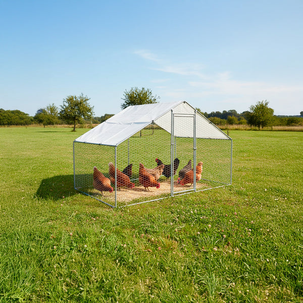 Gallinero Acero Galvanizado 3x2x1.95m (6m2)