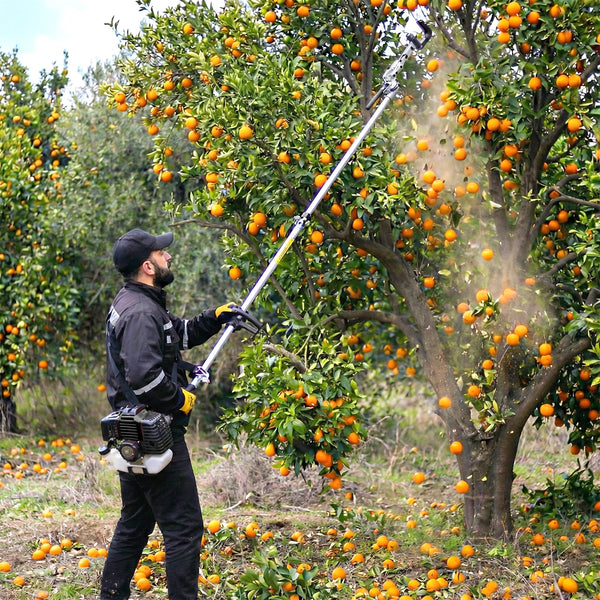 Kit 12 en 1 Multi-función 62cc - 3.4hp - Vareador - Eisen